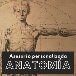 Asesoría Anatomía