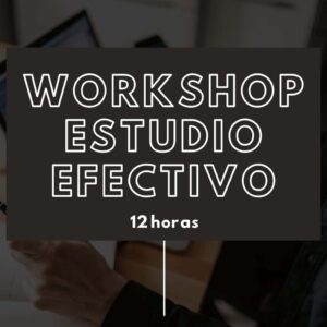 Workshop estudio efectivo 12 horas